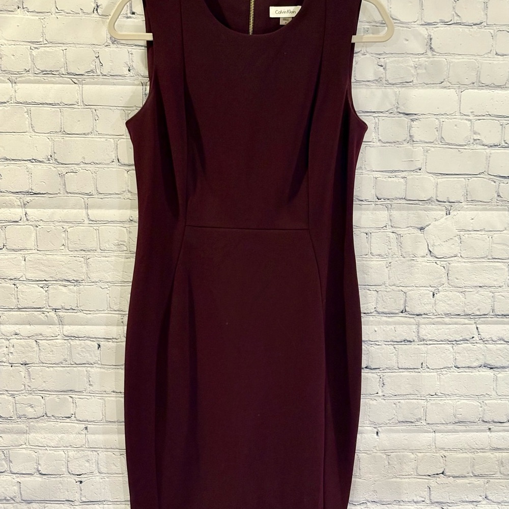 Calvin Klein Women's Burgundy Dress
